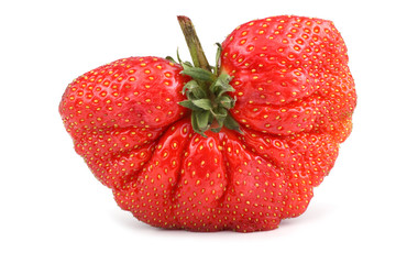 Sticker - Huge strawberry