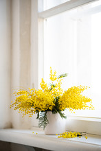 Bouquet Of Yellow Mimosa Flowers On White Vintage Windowsill, Retro Interior