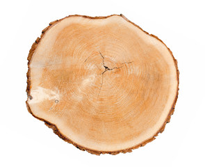 Wall Mural - felled piece of wood from a tree trunk with growth rings isolated on white. natural vintage wood tex