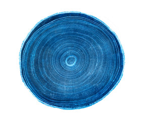 Wall Mural - monotone blue cut wood texture. detailed flat background of a felled tree trunk or stump. rough orga