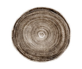 Wall Mural - felled piece of wood from a tree trunk with growth rings isolated on white. natural vintage wood tex