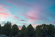 Pink and Blue Great Basin Sunset with Tree Silhouettes in the Humboldt-Toiyabe National Forest, White Pine County, Nevada.