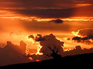 Canvas Print - cloud sky