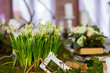 table decoration made of white Muscari flowers and a white plaster frame in the foreground and a bouquet of roses on a background out of focus