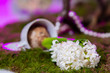 the decor is made of white hyacinth with highlights of purple lying on the grass in the foreground, and the bulb in the cup in the background is out of focus.