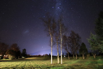 Wall Mural - birch landscape under the stars