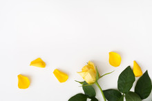 Beautiful Yellow Rose With Green Leaves And Petals On White Background
