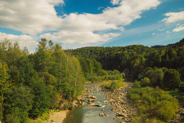 Wall Mural - scenic view from above summer green foliage trees Carpathian mountains forest and river stream clean nature outdoor environment