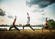 Group Of People Doing Yoga In The Park	