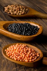 Wall Mural - Different assorted lentils mix with red, brown and black beluga lentils in wooden scoops on brown wooden table background