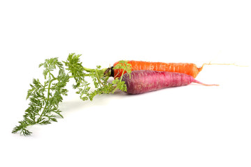 Canvas Print - Red and orange carrots with leaves