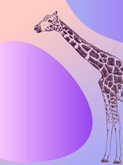 Wall Mural - Minimalist banner with giraffe sketch and abstract streamlined shapes, Hand drawn vector illustration