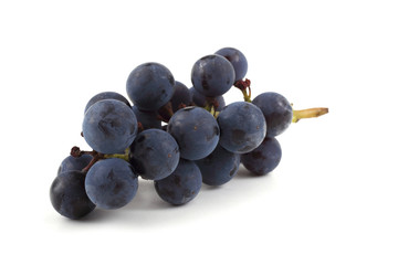 Poster - Black wine grape