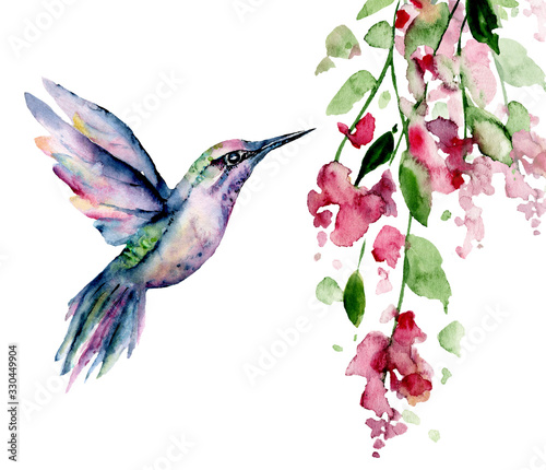 Fotomural Flying hummingbird, watercolor illustration, tropical bird and flower isolated on white background, exotic, wild life clip art