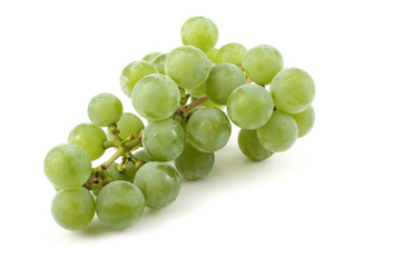  Wine grape