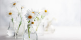 Beautiful daisy flowers in glass vases on light background. Floral composition in home interior.