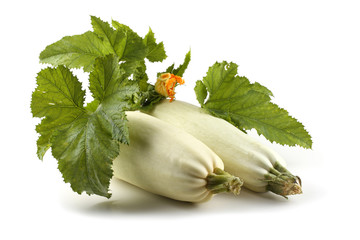 Canvas Print - White squashes, leaves and flower