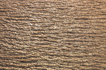 Wall Mural - Water surface of the river in the rays of the evening setting sun