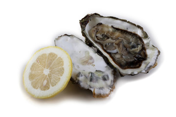 Wall Mural - opened oyster and lemon slice