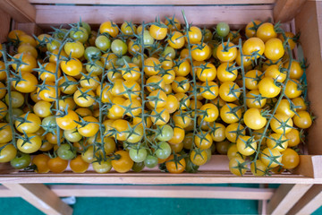 Wall Mural - Organics yellow cherry tomatoes at an agricultural exhibition