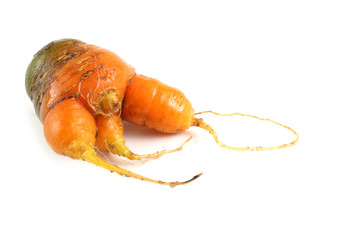 Wall Mural - Ugly carrot