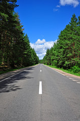 road in the summer forest