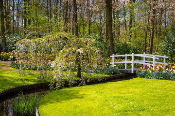 Wall Mural - Beautiful park garden in spring.  Formal Garden