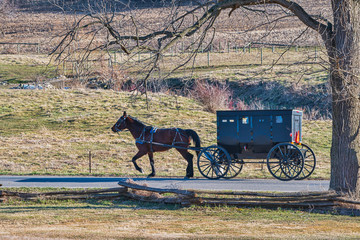 Sticker - Amish Horse and Buggy and Split Rail Fence