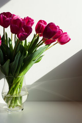 Wall Mural - Vivid bouquet of purple tulips in Still Life in a glass vase on white wooden chair. White interior.