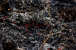 scorched earth, burnt grass close-up