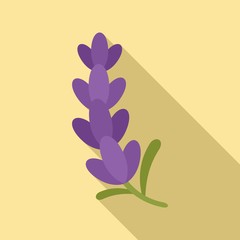 Wall Mural - Aromatherapy lavender icon. Flat illustration of aromatherapy lavender vector icon for web design