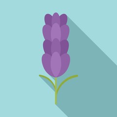 Wall Mural - Organic lavender icon. Flat illustration of organic lavender vector icon for web design