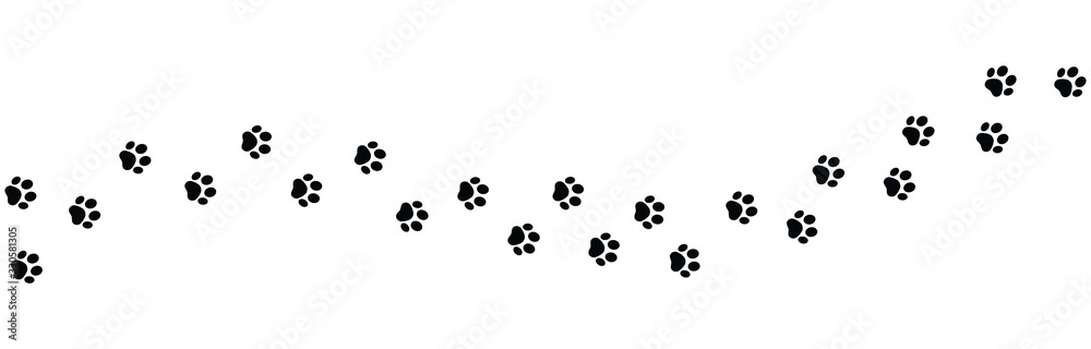 Paw vector foot trail print on white background. foot trail cat or Dog, path pattern animal tracks, isolated on white background - obrazy, fototapety, plakaty 