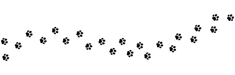 Paw vector foot trail print on white background. foot trail cat or Dog, path pattern animal tracks, isolated on white background