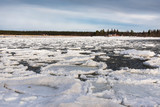 Fototapeta  - Seascape in winter, the sea is frozen