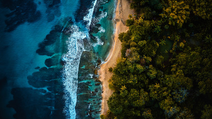 Wall Mural - Magnificent aerial shot of a blue tropic lagoon with crystal clear water surrounded by beach and palm trees.