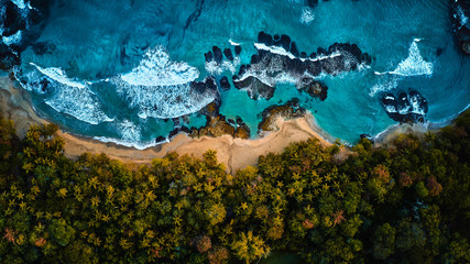 Wall Mural - Aerial drone photo of a blue tropical lagoon surrounded by white sand of an exotic beach and palm trees.