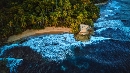 Wall Mural - Aerial photo of a sandy tropical beach with growing palm trees surrounded by blue ocean water and golden sunlight