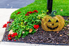 Residential Neighborhood House In Virginia With Green Grass Lawn And Halloween Pumpkin Decorations In Front Yard By Mailbox And Flowers