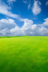 Green grass field and blue sky with white clouds.