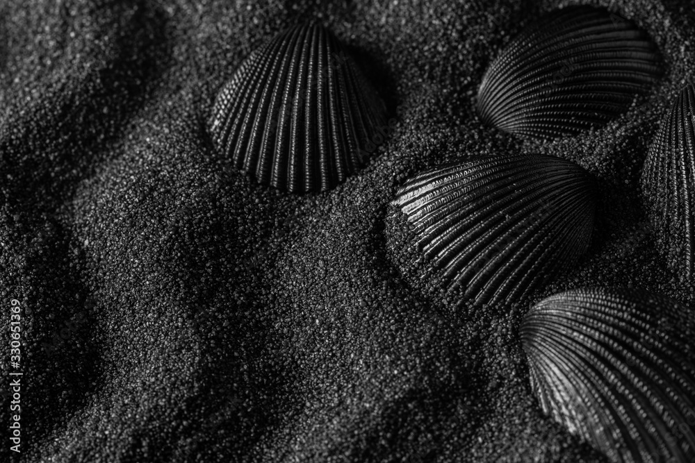  Black shell on a black sand dunes background. Black design.