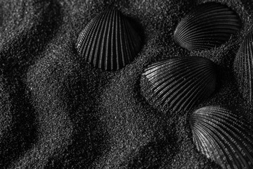 Black shell on a black sand dunes background. Black design.