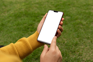 Wall Mural - A female sitting on the grass browsing a smartphone