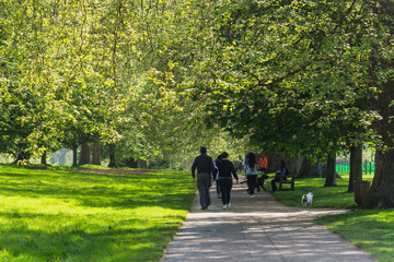 Unrecognizable people walking through the park on a sunny day. 