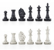 White and black chess pieces isolated on white background. 3D illustration