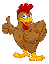 A Chicken Cartoon Rooster Cockerel Character Mascot Giving A Thumbs Up.