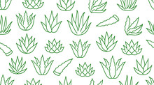 Aloe Vera Background, Agave Plant Seamless Pattern. Succulent Wallpaper With Line Icons Of Aloevera Leaves. Herbal Medicine Vector Illustration Green White Color