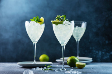 Summer cocktail mojito