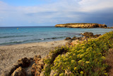 Fototapeta Morze - Sant Tomas, Menorca / Spain - June 25, 2016: The Binigaus beach with flowers, Sant Tomas, Menorca, Balearic Islands, Spain