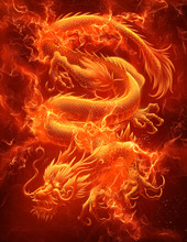 Asian Fire Dragon